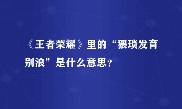《王者荣耀》里的“猥琐发育别浪”是什么意思？