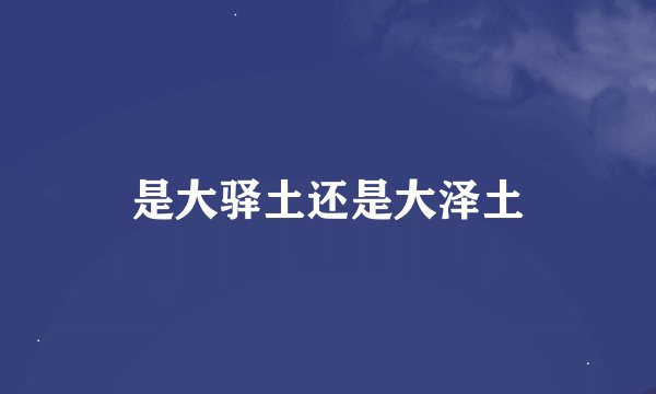是大驿土还是大泽土