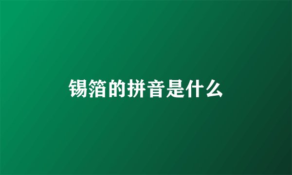 锡箔的拼音是什么