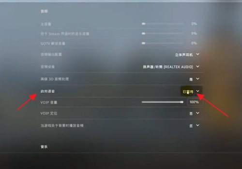 csgo怎么在游戏里说话？