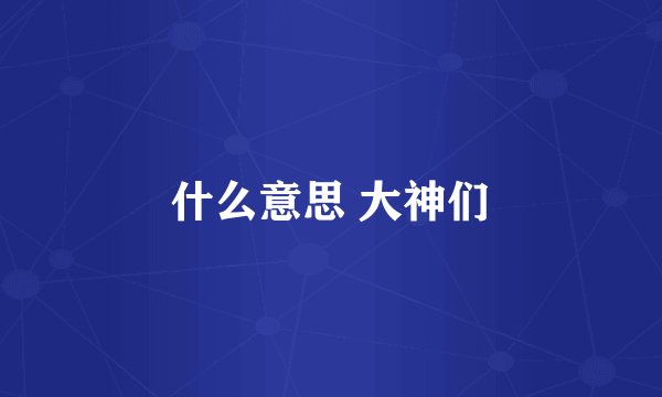 什么意思 大神们