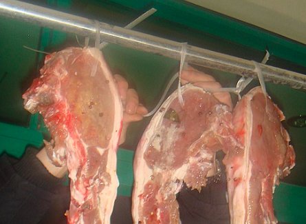 10斤肉放多少盐最好?