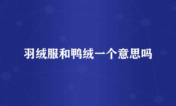 羽绒服和鸭绒一个意思吗