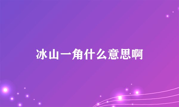 冰山一角什么意思啊