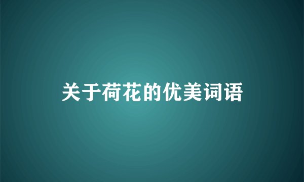 关于荷花的优美词语