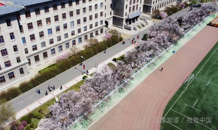 哈尔滨工程大学是211院校吗？