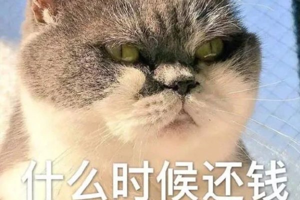 高情商催人还钱句子