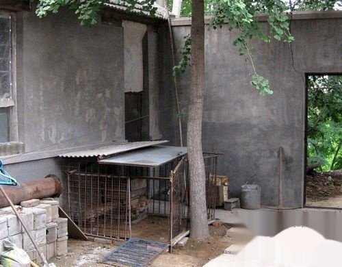 怎样搭建鸡窝