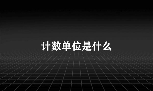 计数单位是什么