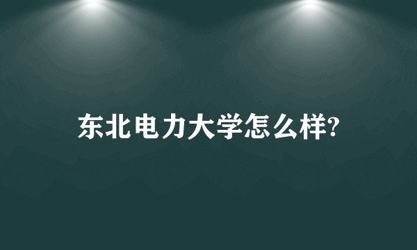 东北电力大学怎么样?