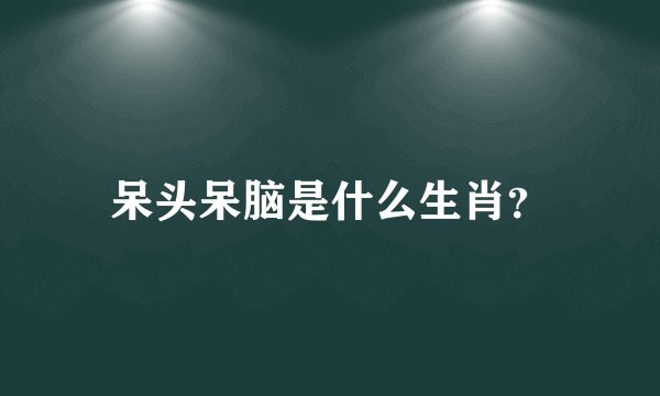 呆头呆脑是什么生肖？
