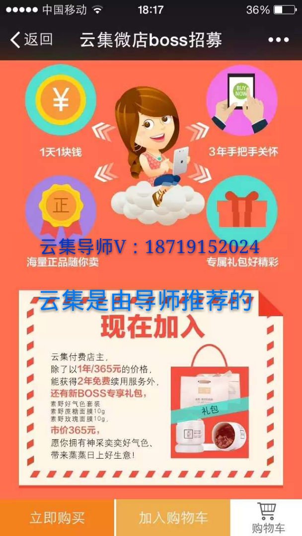 开云集微店需要投资多少钱？