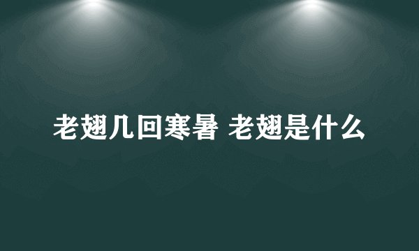 老翅几回寒暑 老翅是什么