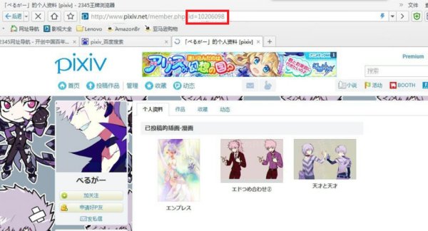 p站的作品id要怎么用?