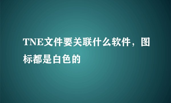 TNE文件要关联什么软件，图标都是白色的