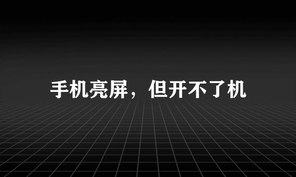 手机亮屏，但开不了机