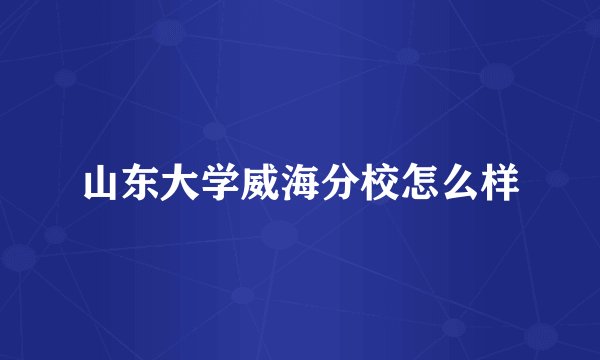 山东大学威海分校怎么样