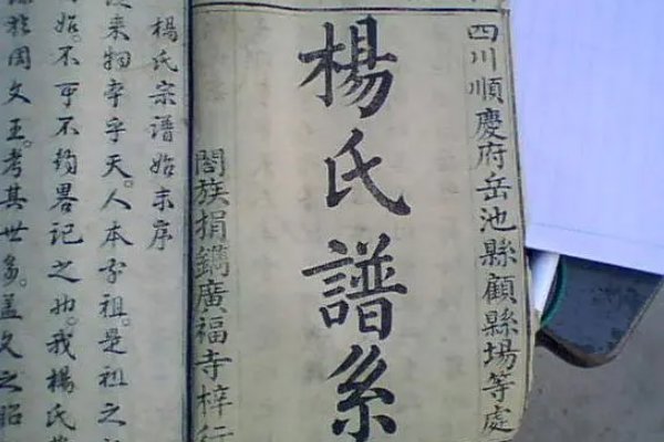全国杨氏字辈对照表