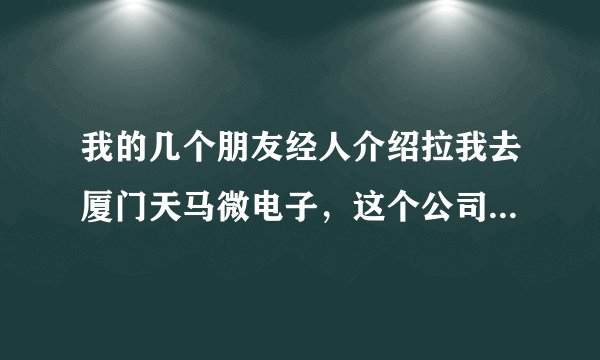 我的几个朋友经人介绍拉我去厦门天马微电子,这个公司怎么样,值不值的去