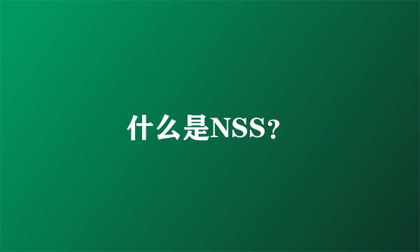 什么是NSS？