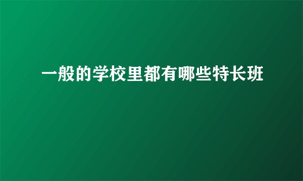 一般的学校里都有哪些特长班