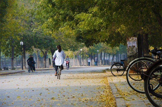 聊城大学到底好不好？