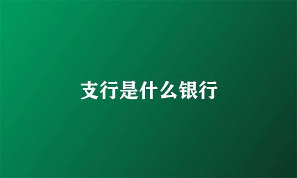 支行是什么银行