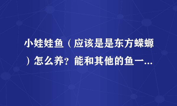 小娃娃鱼（应该是是东方蝾螈）怎么养？能和其他的鱼一起养吗?