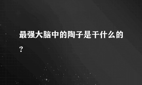 最强大脑中的陶子是干什么的？