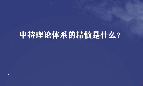 中特理论体系的精髓是什么？