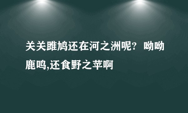 关关雎鸠还在河之洲呢? 呦呦鹿鸣,还食野之苹啊