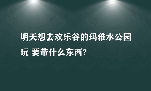明天想去欢乐谷的玛雅水公园玩 要带什么东西?