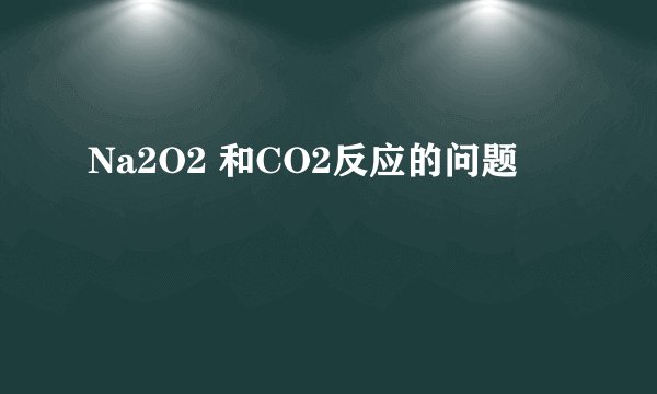 Na2O2 和CO2反应的问题