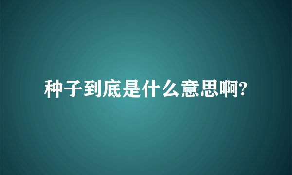 种子到底是什么意思啊?