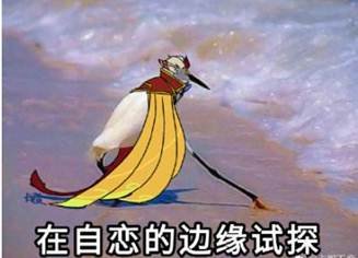 现在很流行那句话,《给你个眼神自己体会》是什么意思?