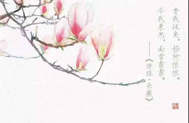 诗经里最美的50首诗