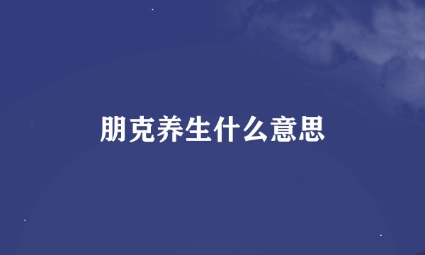 朋克养生什么意思