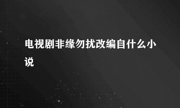 电视剧非缘勿扰改编自什么小说