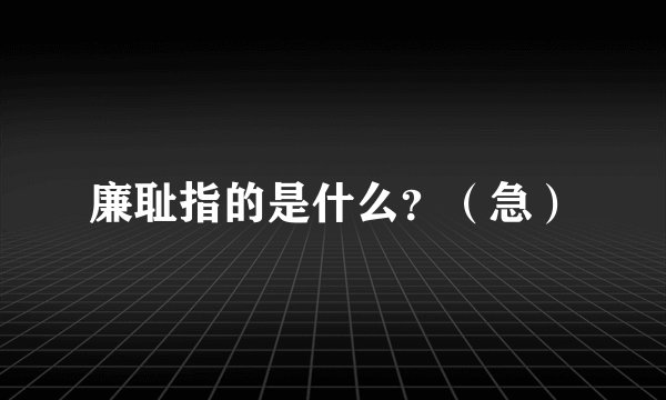 廉耻指的是什么？（急）