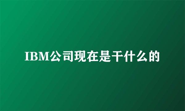 IBM公司现在是干什么的