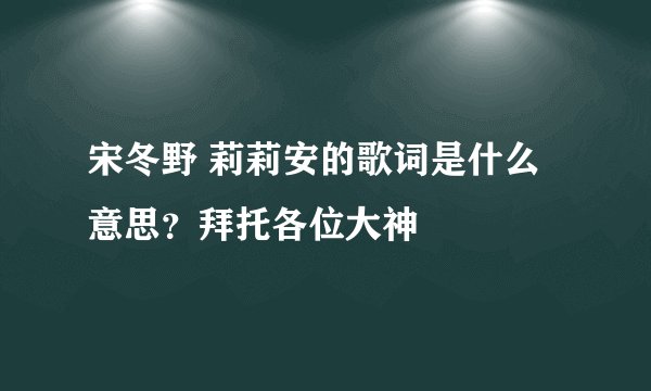 宋冬野 莉莉安的歌词是什么意思？拜托各位大神