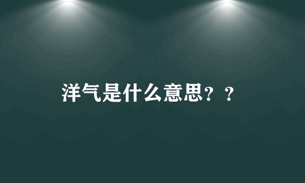 洋气是什么意思？？