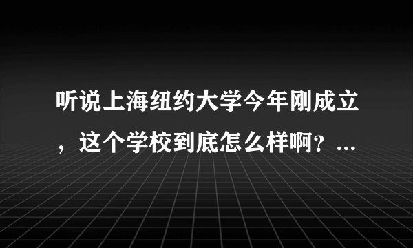 听说上海纽约大学今年刚成立，这个学校到底怎么样啊？好不好考？