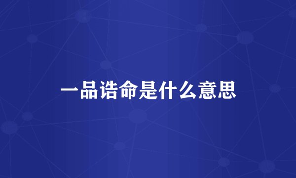 一品诰命是什么意思