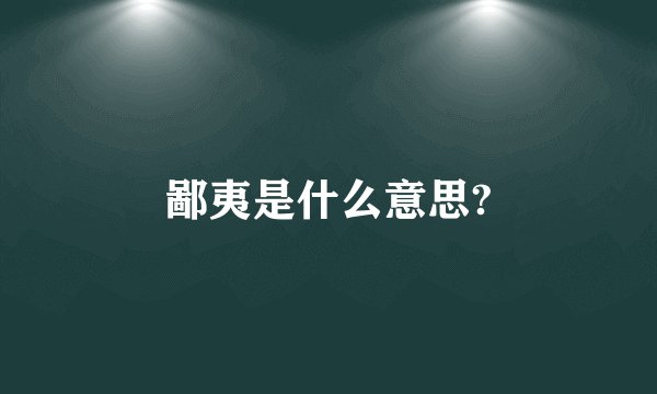 鄙夷是什么意思?