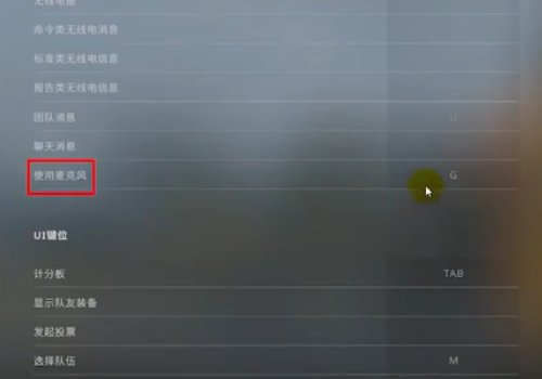 csgo怎么在游戏里说话？