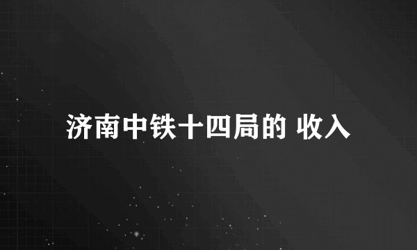 济南中铁十四局的 收入