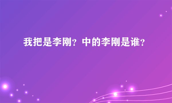 我把是李刚？中的李刚是谁？