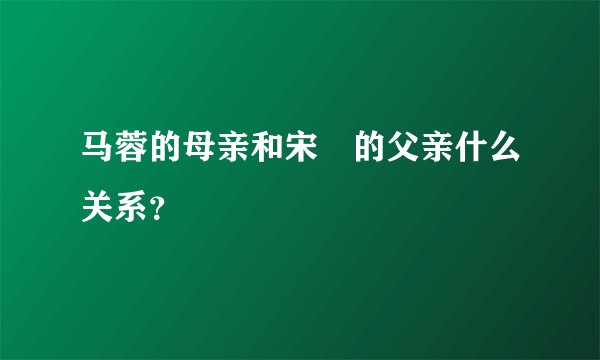 马蓉的母亲和宋喆的父亲什么关系？