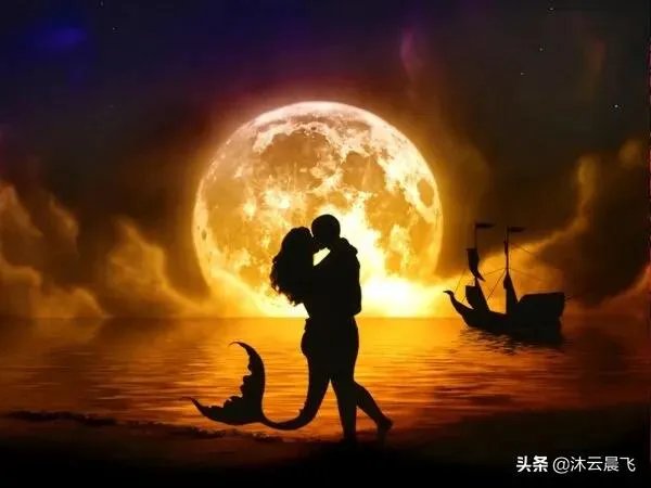 有什么惊艳的句子?